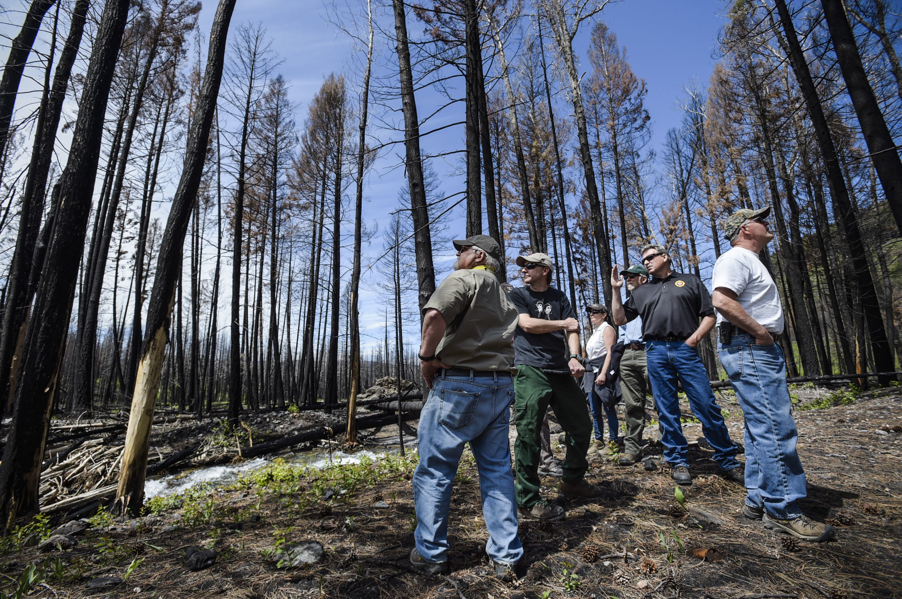 Park Creek fire tour
